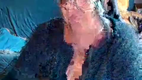 Snapshot of laureanne50 chatting on 5, 4, 2026 laureanne online show from 5, 4, 2026