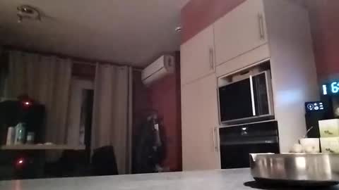 Law online show from 16, 12, 2025