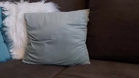 lazlow2000 online show from 7, 1, 2026