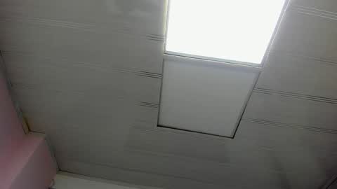 leamoreau__ online show from 8, 11, 2025