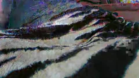 Snapshot of ledmax07 chatting on 13, 4, 2026 ledmax07 online show from 13, 4, 2026