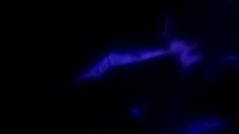 Snapshot of leemen33 chatting on 30, 9, 2025 Michael online show from 30, 9, 2025