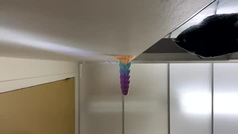 Snapshot of legrandanneau chatting on 29, 1, 2025 LeGrandAnneau online show from 29, 1, 2025