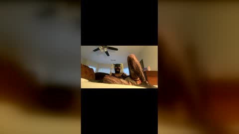 lelesmayone online show from 25, 5, 2026