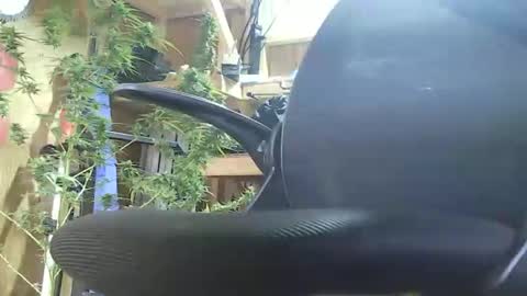 HoleStretcher online show from 9, 9, 2025