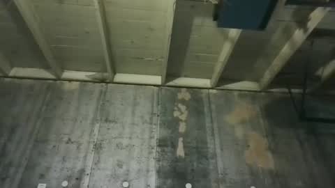 leo199984 online show from 7, 2, 2026