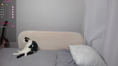 Snapshot of leonkissboy chatting on 1, 3, 2026 leonkissboy online show from 1, 3, 2026