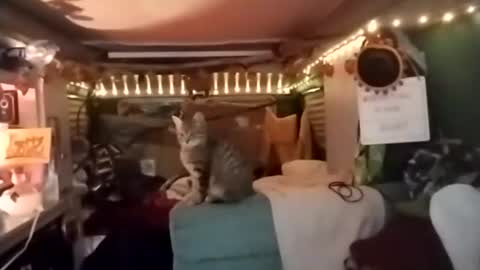 LesleyGumGrass- The Boring Trans girl online show from 18, 12, 2025