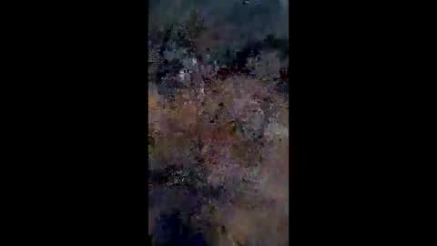 Snapshot of lestercameran80 chatting on 9, 6, 2026 lestercameran80 online show from 9, 6, 2026