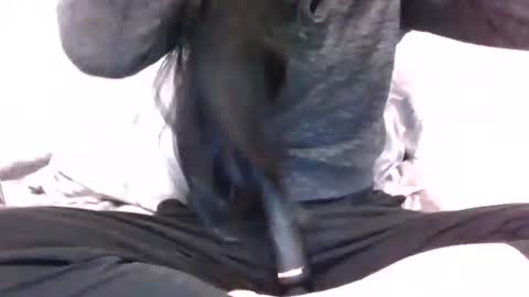 Snapshot of lets_play143 chatting on 16, 2, 2026 lets_play143 online show from 16, 2, 2026