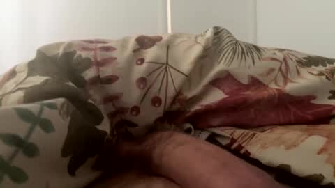 Snapshot of letsgohome2222 chatting on 11, 10, 2025 letsgohome2222 online show from 11, 10, 2025