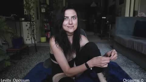 Snapshot of levity_opossum chatting on 4, 3, 2026 Levity online show from 4, 3, 2026