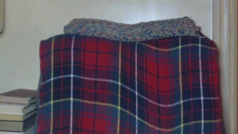 Snapshot of levon48 chatting on 19, 12, 2024 levon48 online show from 19, 12, 2024