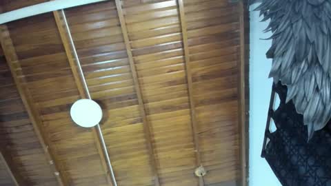 LevySteven online show from 16, 11, 2025