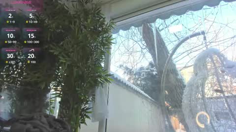 Snapshot of lexi_storm chatting on 12, 1, 2026 lexi_storm online show from 12, 1, 2026