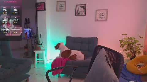 Snapshot of lexie_babe chatting on 16, 12, 2024 Lexie Thompson   8pm  0000am -5 online show from 16, 12, 2024