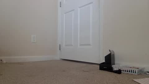 Snapshot of lexiial0 chatting on 6, 2, 2026 Alexia L. online show from 6, 2, 2026