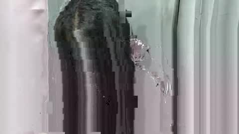 lhara_morena online show from 18, 12, 2025