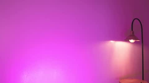 liaa online show from 3, 12, 2025