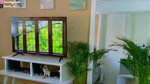 Tell me Liam online show from 17, 12, 2025