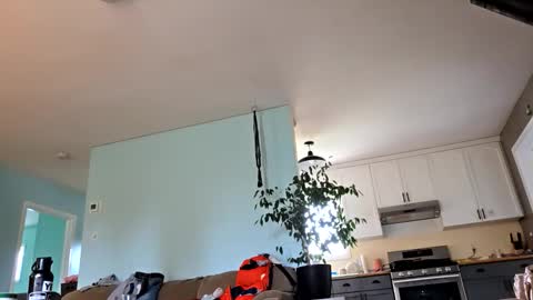 Snapshot of lickurpussygood40 chatting on 24, 10, 2025 lickurpussygood40 online show from 24, 10, 2025