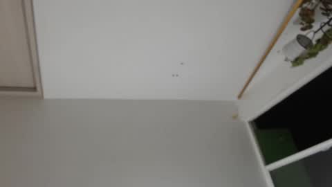 liiz5 online show from 31, 12, 2024