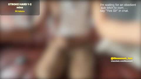 likeasnack online show from 24, 2, 2026