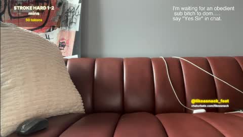 likeasnack online show from 15, 4, 2026