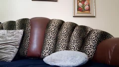 Celine online show from 19, 12, 2024