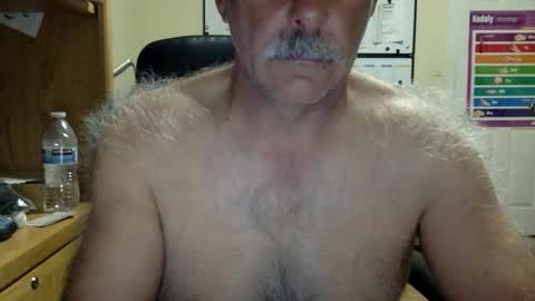 likefhot online show from 4, 3, 2026