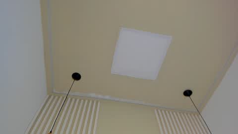 Snapshot of lila_cohen chatting on 14, 1, 2025 L I L A online show from 14, 1, 2025