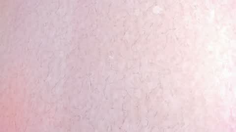 Snapshot of lila_cohen chatting on 4, 2, 2025 L I L A online show from 4, 2, 2025