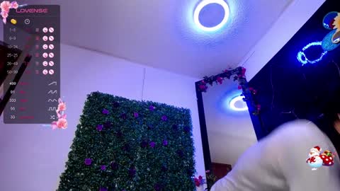   online show from 28, 12, 2024