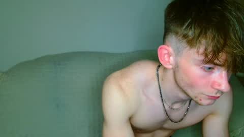 lilbearxxxx online show from 26, 4, 2026