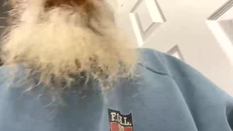 Snapshot of lilchaps69 chatting on 4, 2, 2026 lilchaps69 online show from 4, 2, 2026