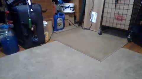 lildman420 online show from 14, 3, 2026