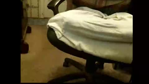 Sasquatch online show from 1, 3, 2026