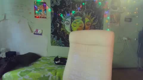 Lil online show from 19, 3, 2026