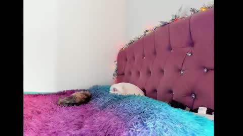 Snapshot of lilithintheeden chatting on 8, 2, 2025 Lilith online show from 8, 2, 2025