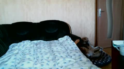 Snapshot of lilithris chatting on 1, 4, 2026 Lenkaa777 online show from 1, 4, 2026