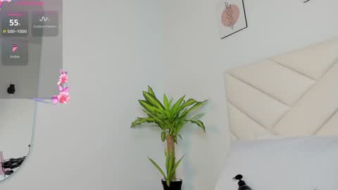   online show from 1, 12, 2024