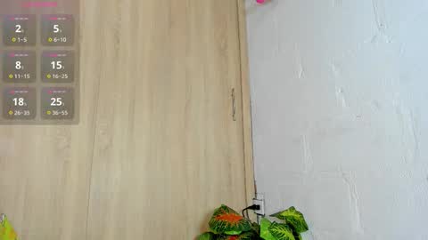   online show from 5, 11, 2025