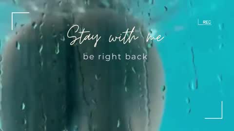 Snapshot of lily_foster_ chatting on 21, 12, 2025 Lily online show from 21, 12, 2025