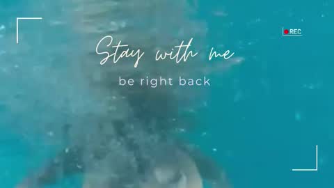 Snapshot of lily_foster_ chatting on 4, 2, 2026 Lily online show from 4, 2, 2026