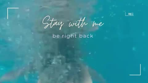 Snapshot of lily_foster_ chatting on 18, 2, 2026 Lily online show from 18, 2, 2026