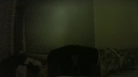 lily lovelyman online show from 1, 2, 2025