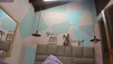 Snapshot of lilybaudyn_ chatting on 12, 2, 2025 Lily online show from 12, 2, 2025