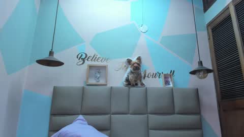 Snapshot of lilybaudyn_ chatting on 25, 2, 2025 Lily online show from 25, 2, 2025