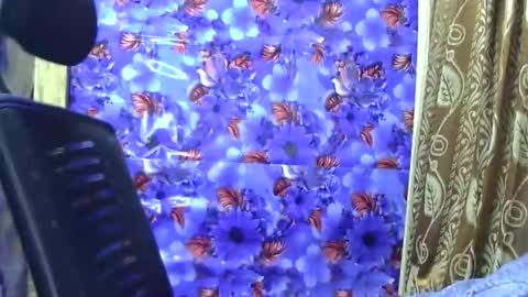 limaakter246618 online show from 2, 2, 2026