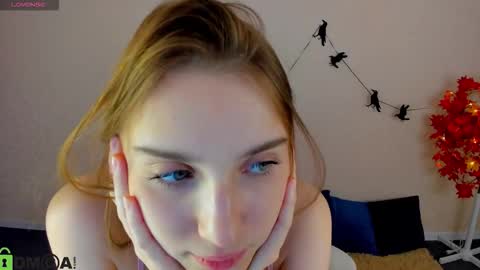 LINA online show from 5, 11, 2025